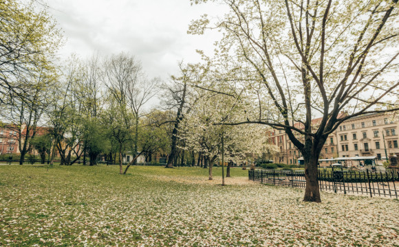 Kraków w czasach zarazy